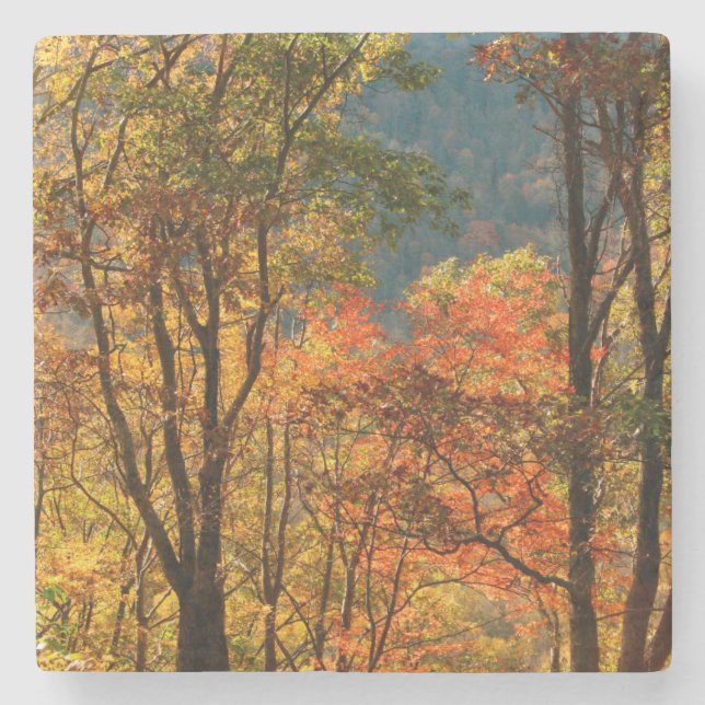 USA, Tennessee. Fallfolien Steinuntersetzer (Vorderseite)