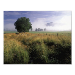 USA, Tennessee, Great Smokey Mountains Fotodruck