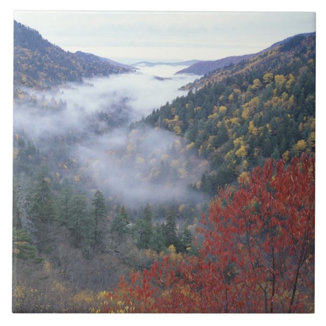 USA, Tennessee, Great Smokey Mountains National Fliese (Vorderseite)