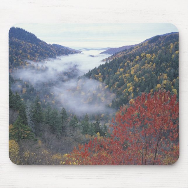 USA, Tennessee, Great Smokey Mountains National Mousepad (Vorne)