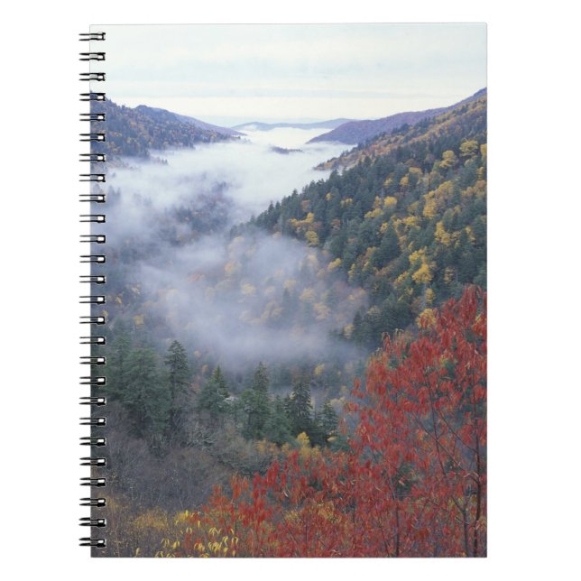 USA, Tennessee, Great Smokey Mountains National Notizblock (Vorderseite)