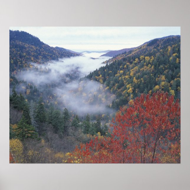 USA, Tennessee, Great Smokey Mountains National Poster (Vorne)