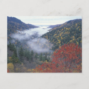 USA, Tennessee, Great Smokey Mountains National Postkarte