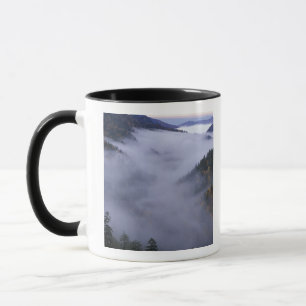 USA, Tennessee. Great Smokey Mountains National Tasse