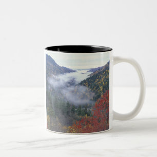 USA, Tennessee, Great Smokey Mountains National Zweifarbige Tasse