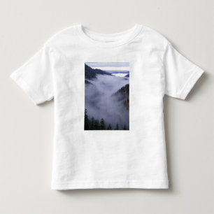 USA, Tennessee. Great Smokey Mountains Nationalpar Kleinkind T-shirt
