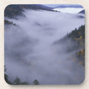 USA, Tennessee. Great Smokey Mountains Nationalpar Untersetzer