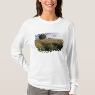 USA, Tennessee, Great Smokey Mountains T-Shirt