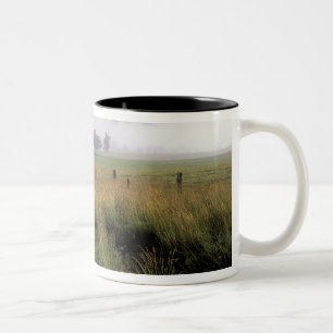 USA, Tennessee, Great Smokey Mountains Zweifarbige Tasse