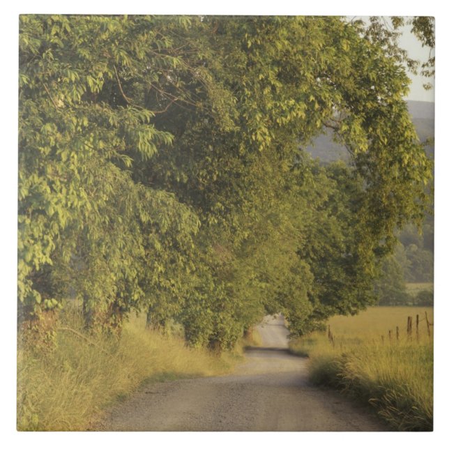 USA, Tennessee, Great Smoky Mountains National 2 Fliese (Vorderseite)