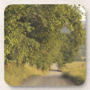 USA, Tennessee, Great Smoky Mountains National 2 Getränkeuntersetzer