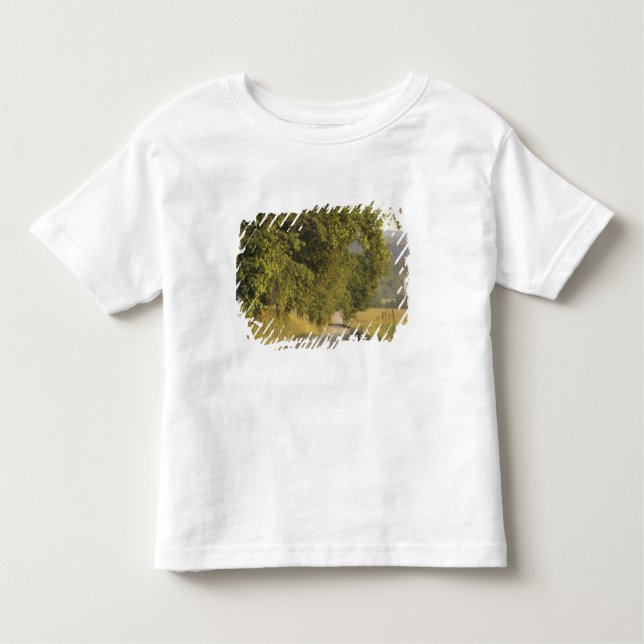 USA, Tennessee, Great Smoky Mountains National 2 Kleinkind T-shirt (Vorderseite)