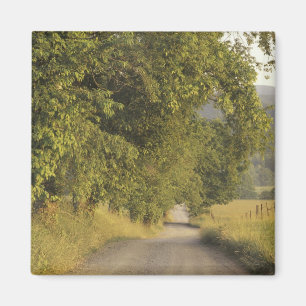 USA, Tennessee, Great Smoky Mountains National 2 Magnet