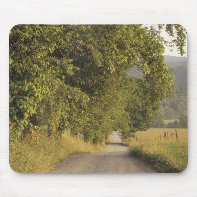 USA, Tennessee, Great Smoky Mountains National 2 Mousepad (Vorne)