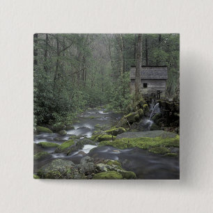 USA, Tennessee, Great Smoky Mountains National 3 Button