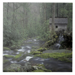 USA, Tennessee, Great Smoky Mountains National 3 Fliese