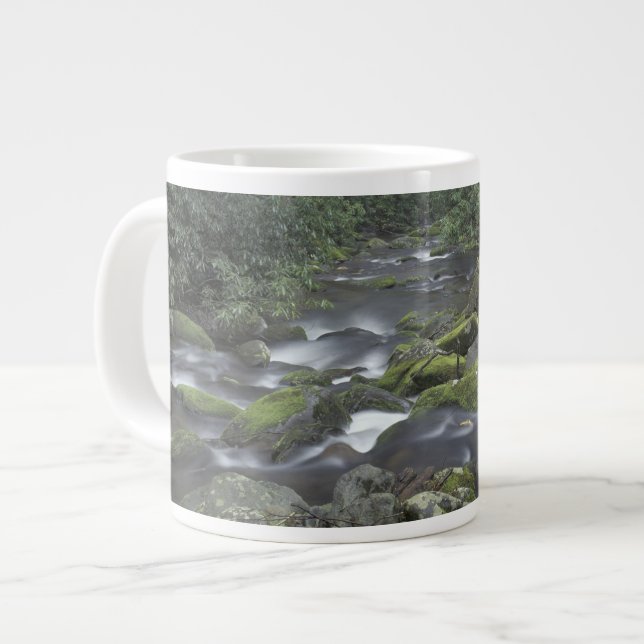 USA, Tennessee, Great Smoky Mountains National 3 Jumbo-Tasse (Vorderseite Links)