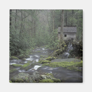 USA, Tennessee, Great Smoky Mountains National 3 Magnet