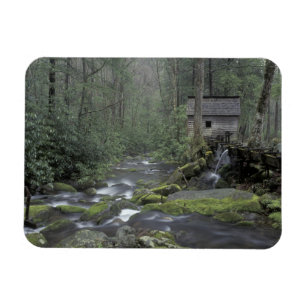 USA, Tennessee, Great Smoky Mountains National 3 Magnet