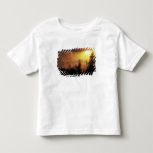 USA, Tennessee, Great Smoky Mountains NP.  2 Kleinkind T-shirt