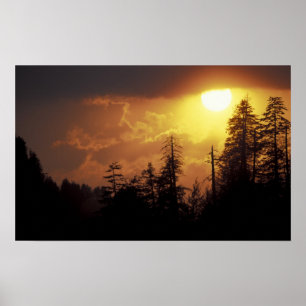 USA, Tennessee, Great Smoky Mountains NP 2 Poster