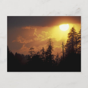 USA, Tennessee, Great Smoky Mountains NP 2 Postkarte