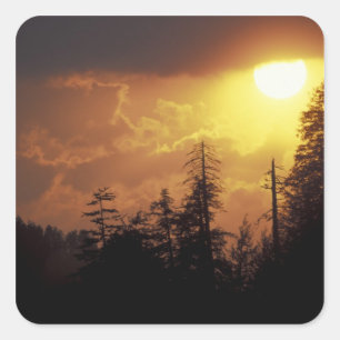 USA, Tennessee, Great Smoky Mountains NP.  2 Quadratischer Aufkleber