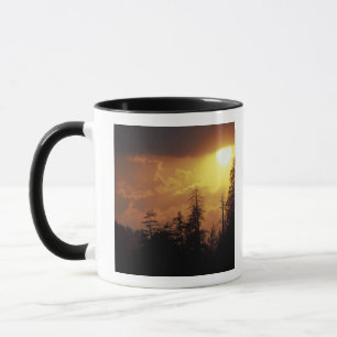 USA, Tennessee, Great Smoky Mountains NP.2 Tasse