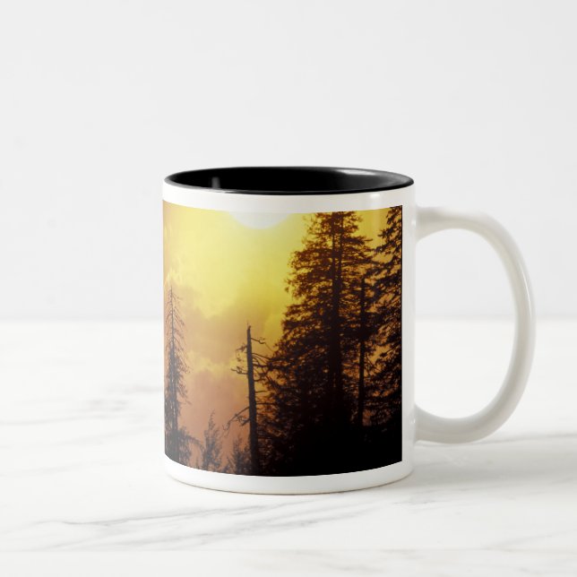 USA, Tennessee, Great Smoky Mountains NP.2 Zweifarbige Tasse (Rechts)