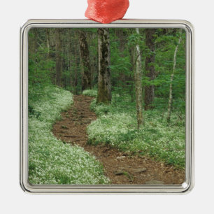 USA, Tennessee, Great Smoky Mountains NP, 3 Silbernes Ornament