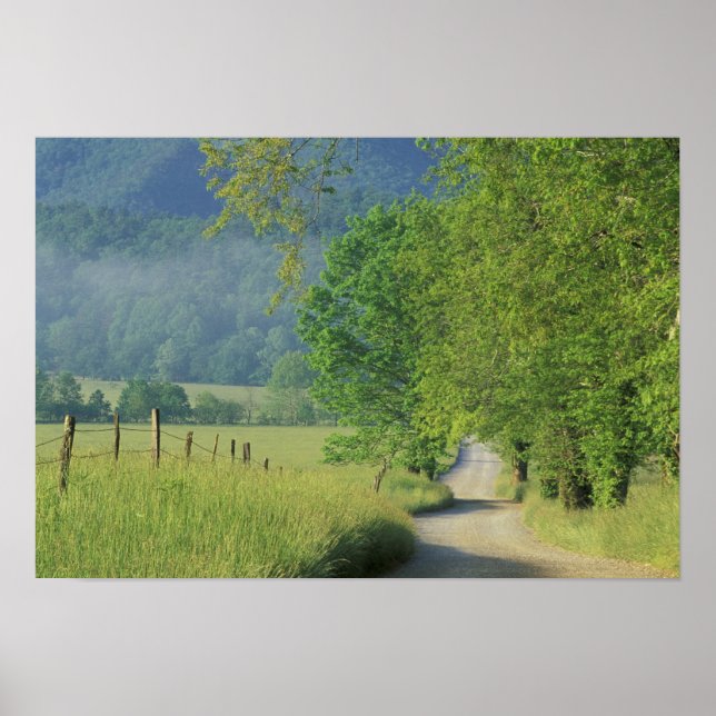 USA, Tennessee, Great Smoky Mountains, NP, Poster (Vorne)