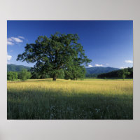 USA, Tennessee. Große Smokey-Berge 2