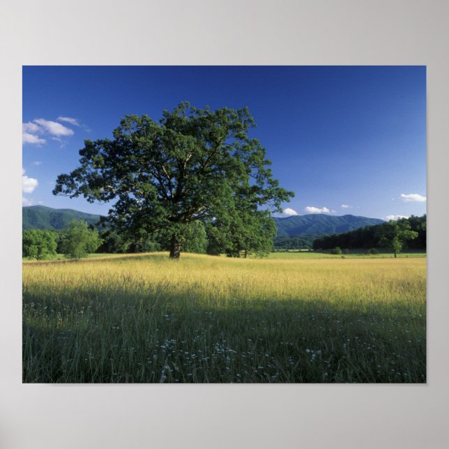 USA, Tennessee. Große Smokey-Berge 2 Poster (Vorne)