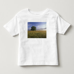 USA, Tennessee. Große Smokey-Berge Kleinkind T-shirt