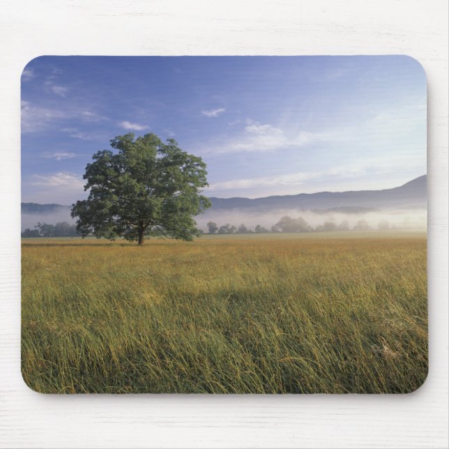 USA, Tennessee. Große Smokey-Berge Mousepad (Vorne)