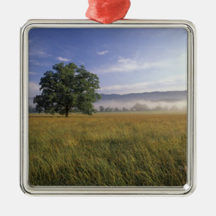 USA, Tennessee. Große Smokey-Berge Silbernes Ornament