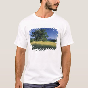USA, Tennessee. Große Smokey Mountains 3 T-Shirt