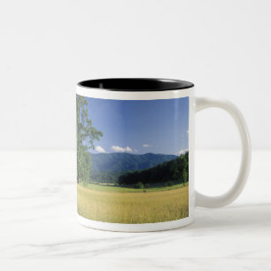 USA, Tennessee. Große Smokey Mountains 3 Zweifarbige Tasse