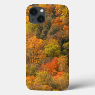 USA, Tennessee. Herbstlaub 2 Case-Mate iPhone Hülle