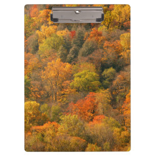 USA, Tennessee. Herbstlaub 2 Klemmbrett