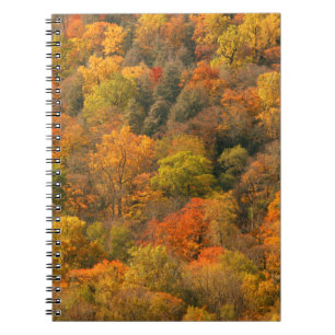 USA, Tennessee. Herbstlaub 2 Notizblock