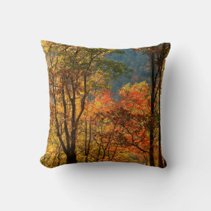 USA, Tennessee. Herbstlaub Kissen