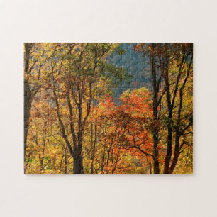 USA, Tennessee. Herbstlaub Puzzle