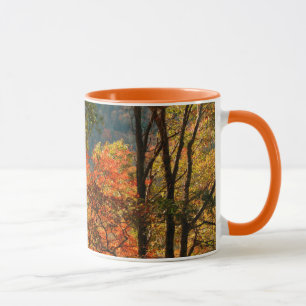 USA, Tennessee. Herbstlaub Tasse