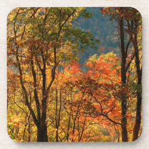 USA, Tennessee. Herbstlaubfärbung Getränkeuntersetzer