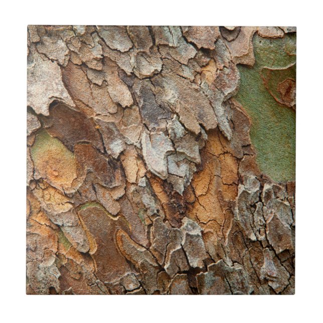 USA, Tennessee, Naher Bachstand auf einem Baum Fliese (Vorderseite)