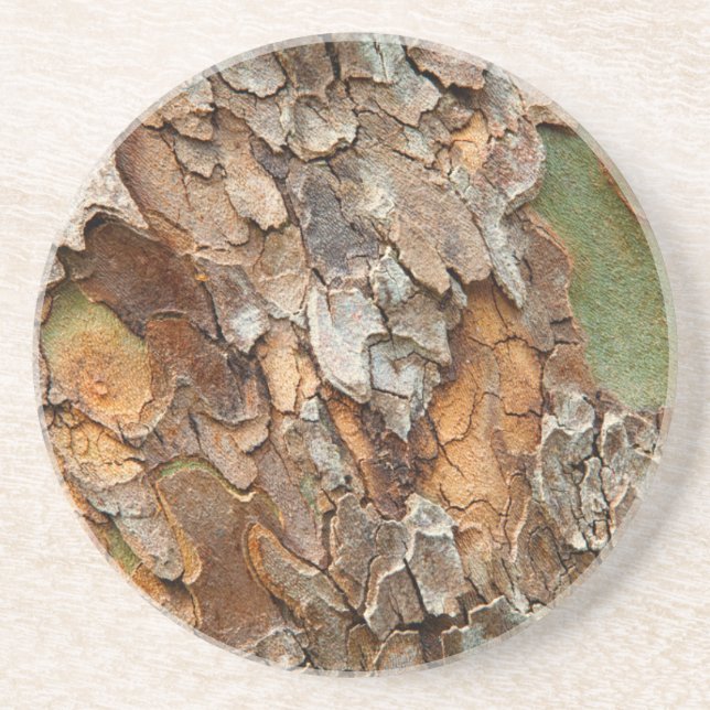 USA, Tennessee, Naher Bachstand auf einem Baum Getränkeuntersetzer (Vorne)