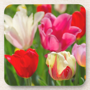 USA, Tennessee, Nashville Getränkeuntersetzer