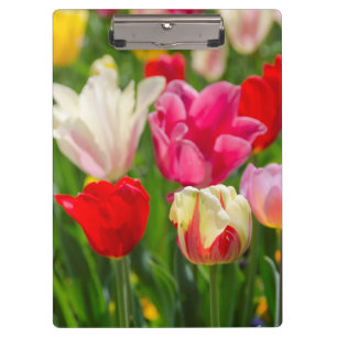 USA, Tennessee, Nashville Klemmbrett