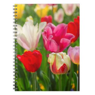 USA, Tennessee, Nashville Notizblock